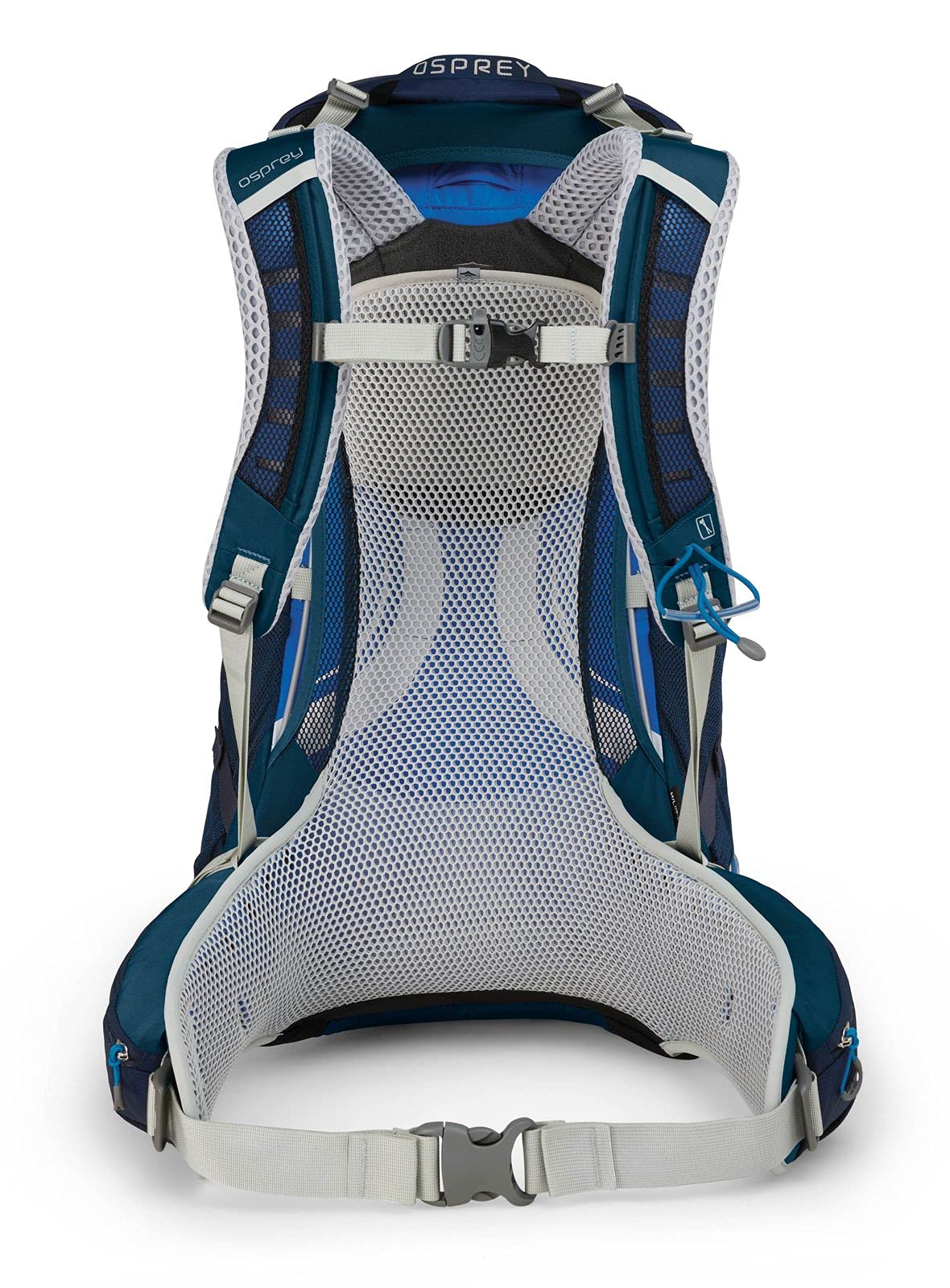 Amazon.co.jp: Osprey Packs Stratos 34 メンズ ハイキング